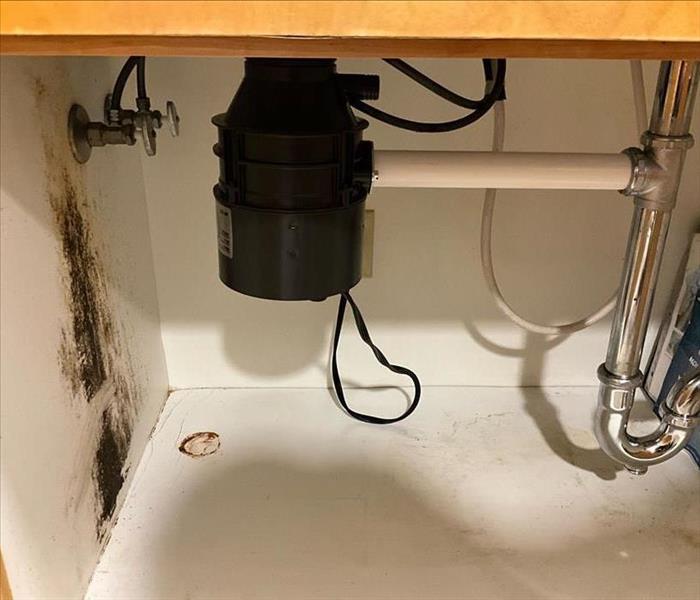 Residential Mold Remediation under sink in home black mold