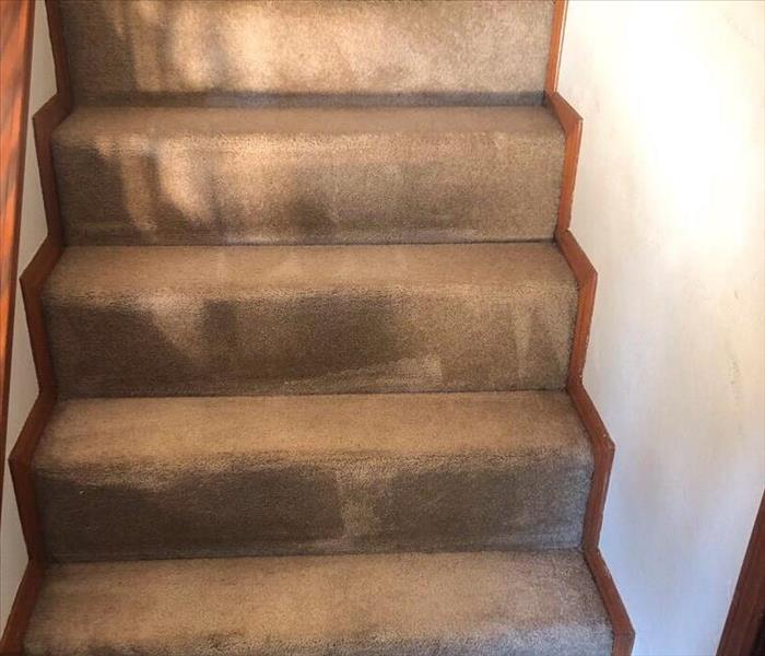 Carpet on stairs after cleaning.